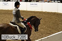 10buck_7285 proof