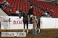 10buck_7286 proof