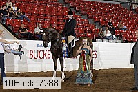 10buck_7288 proof