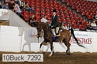 10buck_7292 proof