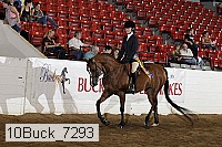 10buck_7293 proof