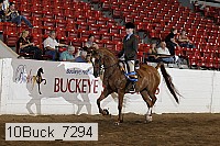10buck_7294 proof