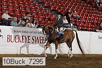 10buck_7295 proof