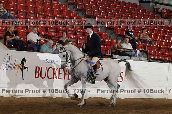 Proof 10buck_7297