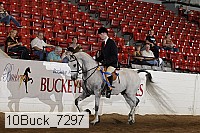 10buck_7297 proof