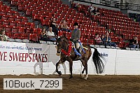 10buck_7299 proof