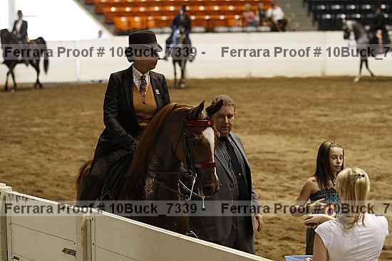 Proof 10buck_7339