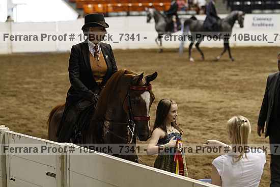 Proof 10buck_7341