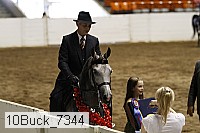 10buck_7344 proof