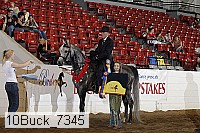 10buck_7345 proof