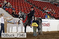 10buck_7346 proof