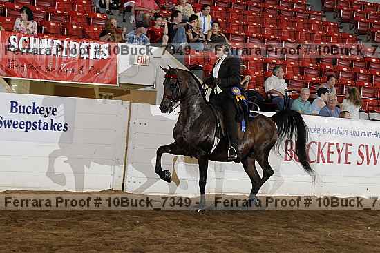 Proof 10buck_7349