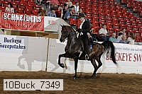 10buck_7349 proof