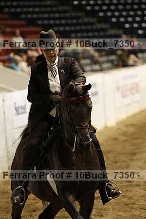 Proof 10buck_7350