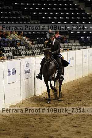 Proof 10buck_7354
