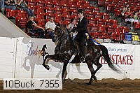 10buck_7355 proof