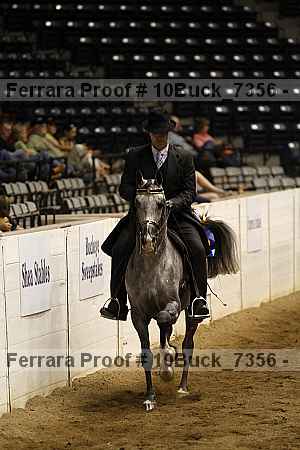 Proof 10buck_7356