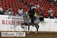 10buck_7357 proof