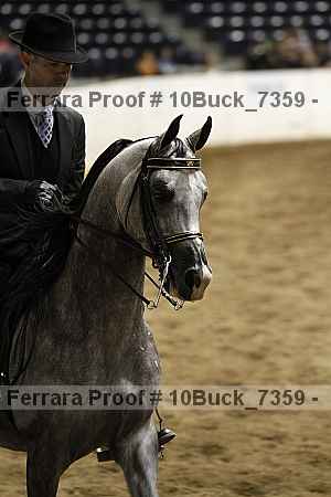 Proof 10buck_7359