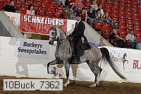 10buck_7362 proof
