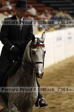 Proof 10buck_7363