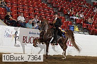 10buck_7364 proof