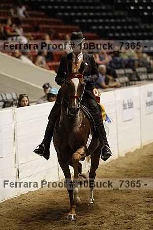 Proof 10buck_7365