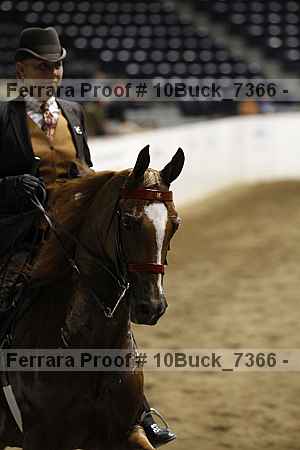 Proof 10buck_7366
