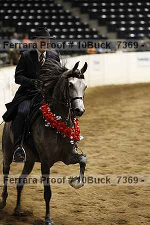 Proof 10buck_7369
