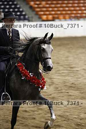Proof 10buck_7371