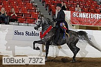 10buck_7372 proof