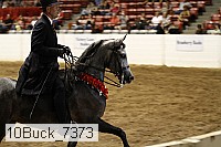 10buck_7373 proof