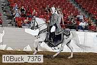 10buck_7376 proof