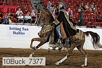 10buck_7377 proof