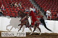 10buck_7379 proof