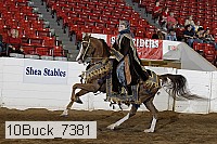 10buck_7381 proof