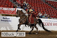10buck_7383 proof