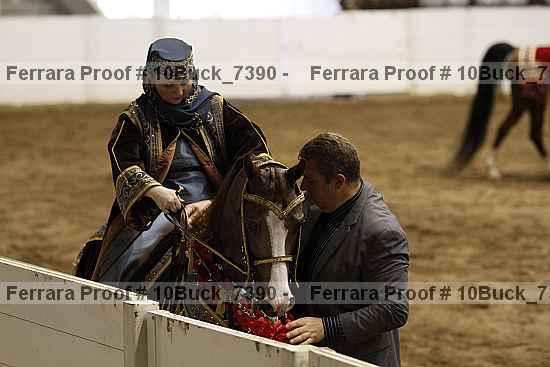 Proof 10buck_7390