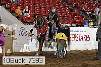 10buck_7393 proof