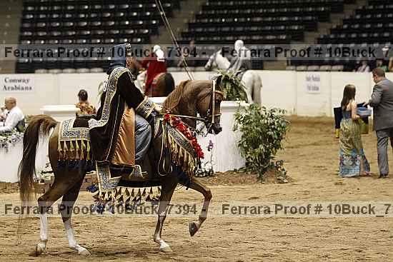 Proof 10buck_7394