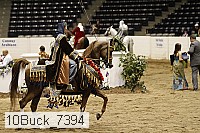 10buck_7394 proof