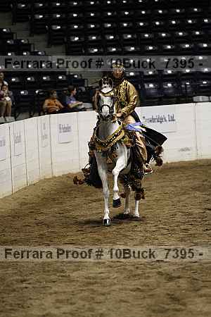 Proof 10buck_7395