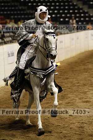 Proof 10buck_7403