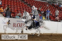 10buck_7405 proof