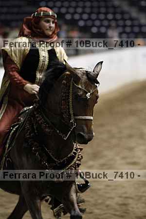 Proof 10buck_7410