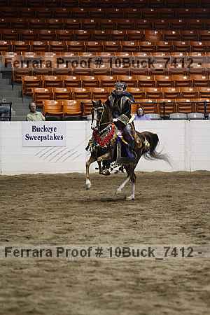 Proof 10buck_7412