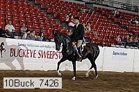10buck_7426 proof