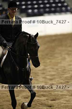 Proof 10buck_7427