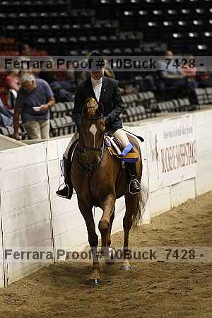 Proof 10buck_7428