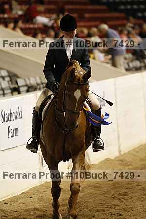 Proof 10buck_7429